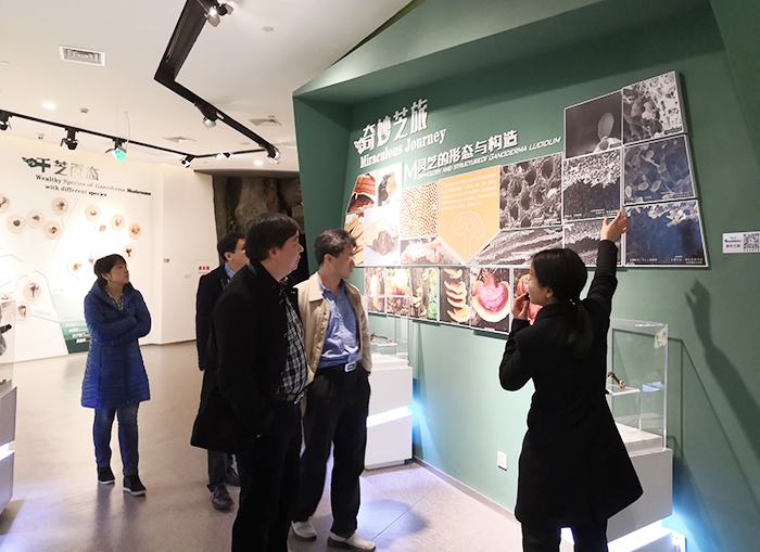 專(zhuān)題報(bào)道