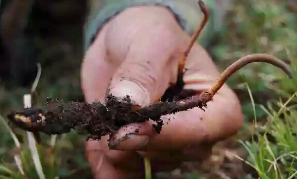 圖片關鍵詞 圖片關鍵詞