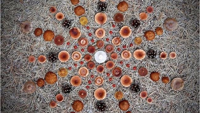 圖片關(guān)鍵詞 http://img.todayfocus.cn/uploads/thumb/201711/650x380/20171124221959zAnm.jpeg