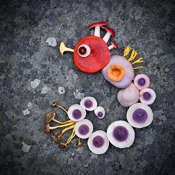 圖片關(guān)鍵詞 http://img2.jiemian.com/jiemian/original/20171123/151141538537115000_a580xH.jpg