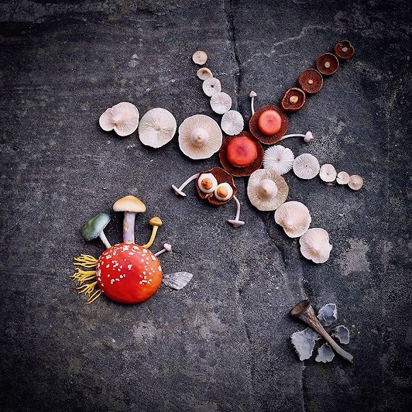 圖片關(guān)鍵詞 http://img3.jiemian.com/jiemian/original/20171123/15114150755042400_a580xH.jpg