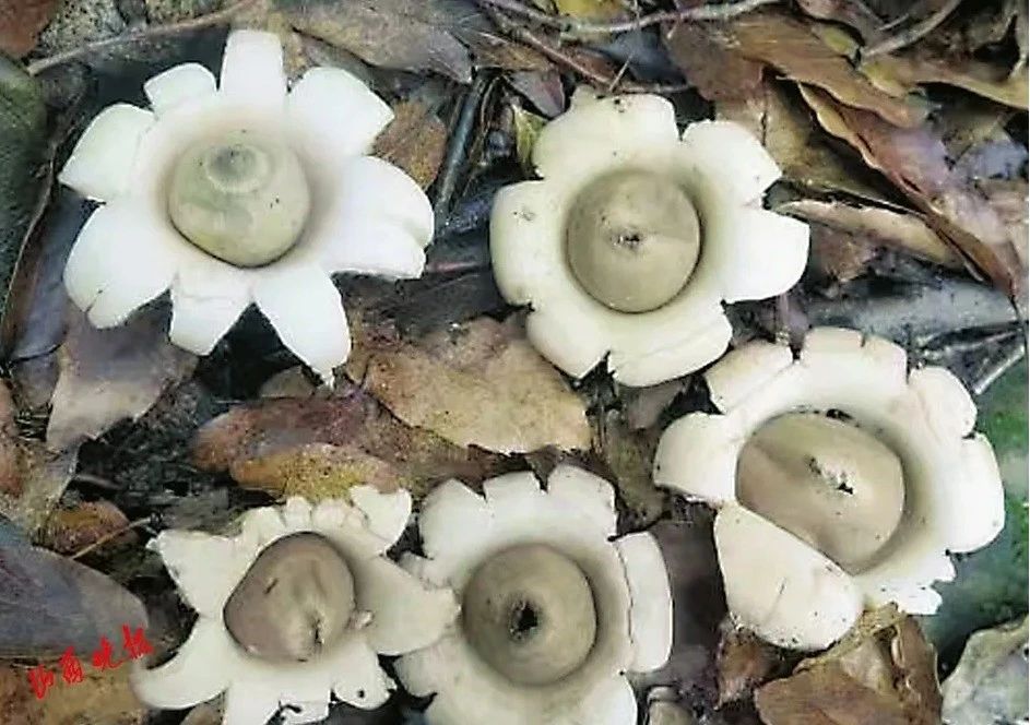 圖片關鍵詞 圖片關鍵詞