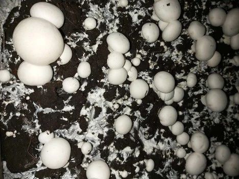 圖片關(guān)鍵詞 圖片關(guān)鍵詞