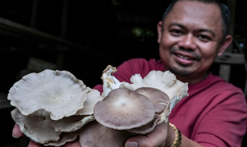 圖片關鍵詞 圖片關鍵詞
