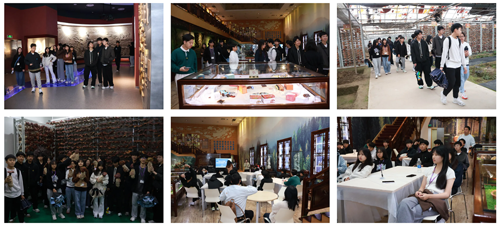 圖片關鍵詞 圖片關鍵詞