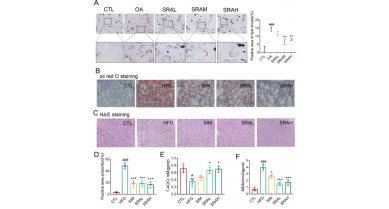 行業(yè)動態(tài)