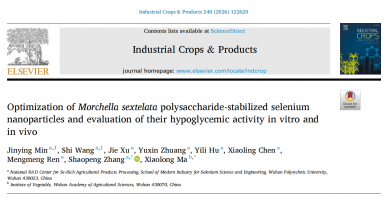 行業(yè)動態(tài)